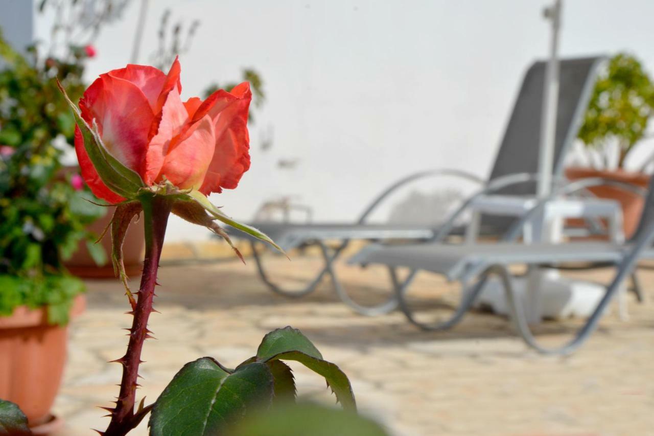 Villa Olive Grove And Sea View Agios Spyridon  Exterior foto